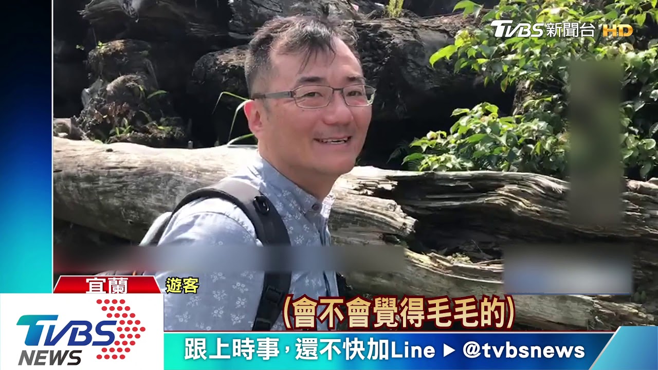 埋屍儲木池!流浪狗啃咬 女屍意外曝光