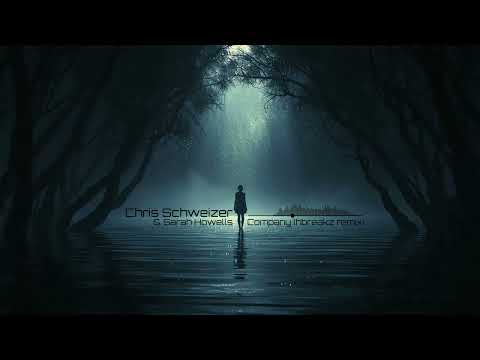 Chris Schweizer feat. Sarah Howells - Company (hbreakz remix)