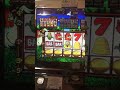 Bonus Fowl Play Story Slot Machine