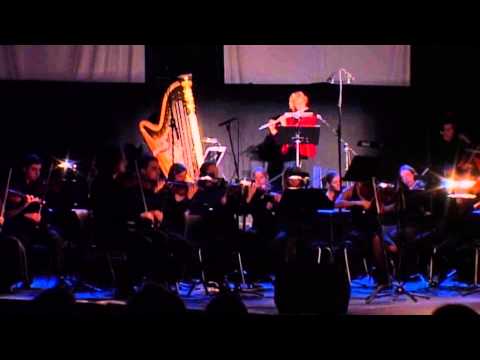F-J Beppe: «Flute Mystery» Op.66b (Hall / Postma / Valeev, Pluri_Art Orchestra ), 2008