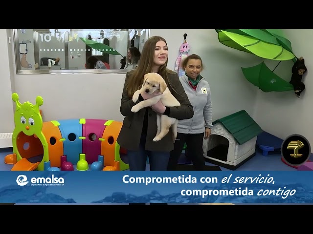 La Infanta Sofía inaugura el Complejo Clínico y Asistencial de la Fundación ONCE del Perro Guía