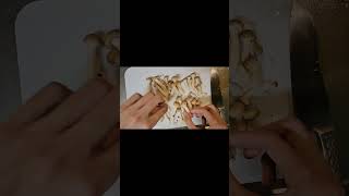 【アツシル公式】　めんつゆで簡単治部煮風
