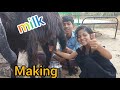 Viral Dhidi Milk Making Vlog Fantastic Malking