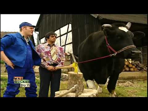 Ranjid sein Kuh ist Traurig