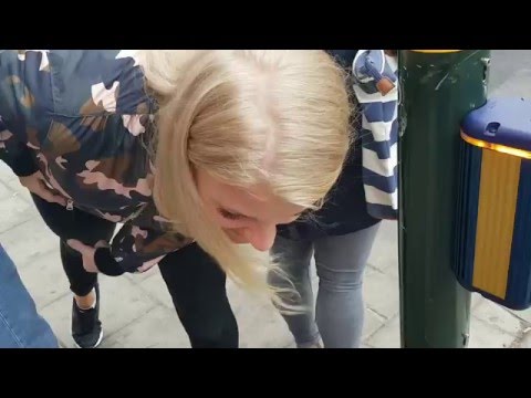 Crossing road signals in Stockholm during Eurovision Song Contest