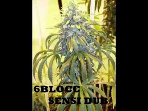 6BLOCC - SENSI DUB