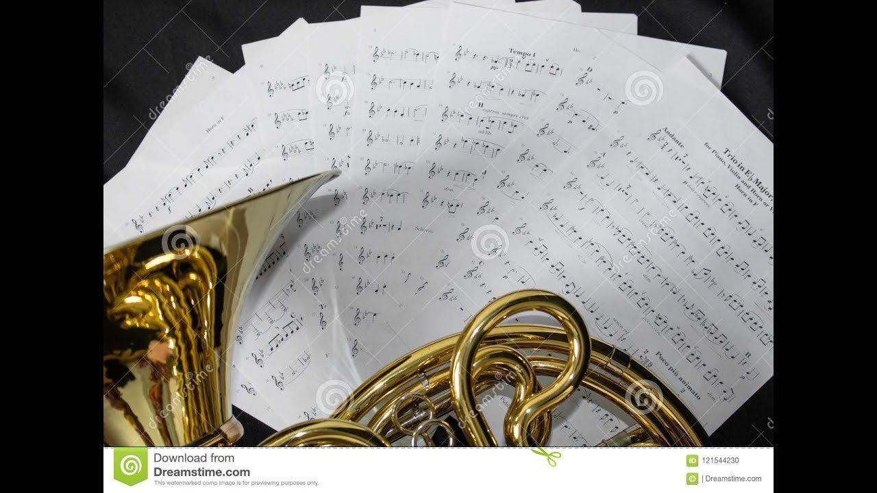 A Vida é uma Festa - Trompa F (Euphonium)