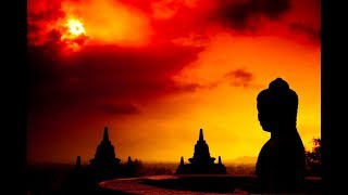 Meditation mit den Feelings-Ölen