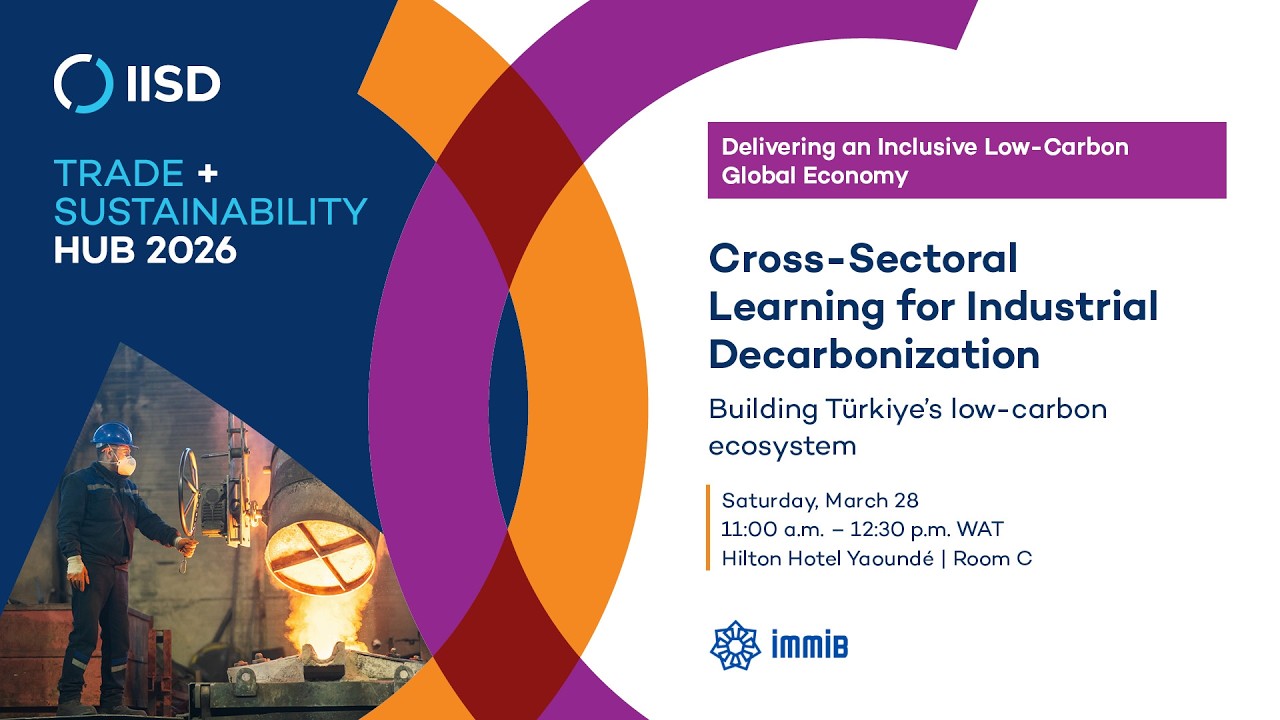 Cross-Sectoral Learning for Industrial Decarbonization: Building Türkiye’s low-carbon ecosystem