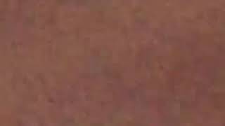 No Problems (Freestyle) Music Video