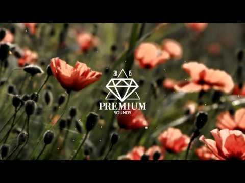 KarlK feat. GuitK - Daydreamer (Original Mix)