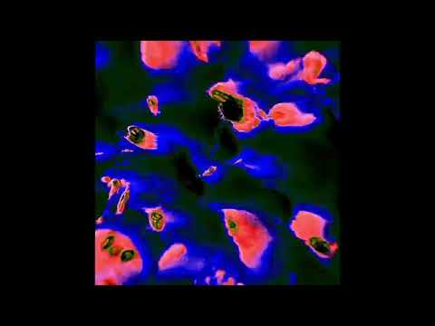 [FREE] - "CA$H" - LALA &CE X YOUNG MIKO X LAYLOW X ALPHA WANN X LA FÈVE  - DARK TRAP TYPE BEAT