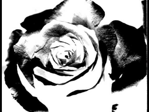 Valvegod - Black Rose