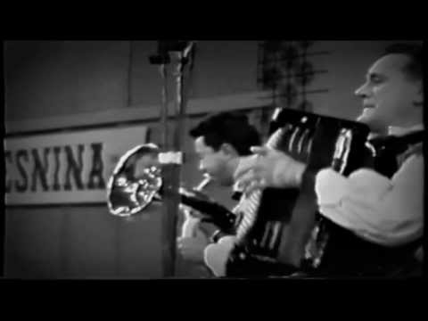 Ansambel bratov Avsenik - Veseli svatje/Lustige Hochzeit  (1967)