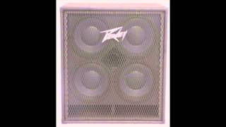 Video thumbnail for Peavey TVX 410 by Hifi Bewertung