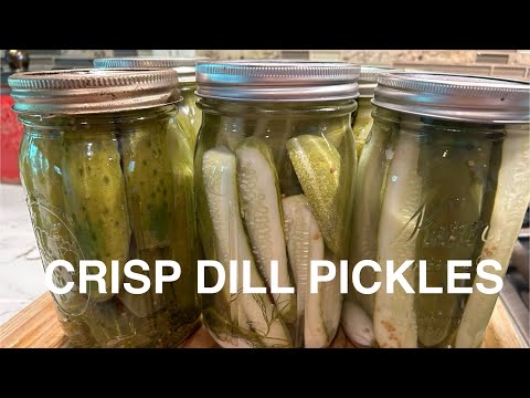 Crisp Dill Pickles | Step by Step Instructions for Hot Water a Bath