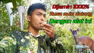Download lagu Inilah alat pemanggil Kijang/Rusa paling ampuh, dijamin rusa bakal berlarian kedepan anda #pikat mp3