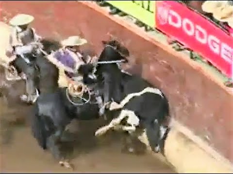 2006 | Criadero Peleco con Gustavo Valdebenito y Germán Garcés en Mistela y Moza