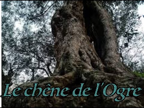 Contes algériens: Le chêne de l'Ogre
