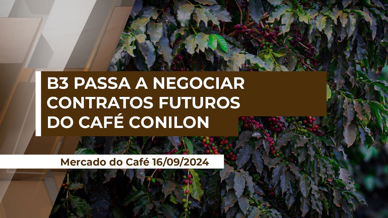 Café conilon terá contratos futuros negociados na Bolsa de Valores do Brasil (B3)