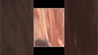 Tunnel Boring Machines #newtechnology #robot #subscribe