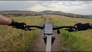 Prairie Falcon - South Valley Park - Littleton - Colorado