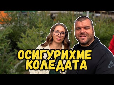 100 километра за КОЛЕДНАТА елха | Милчеви БГ