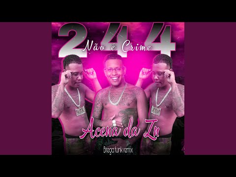 244 Não É Crime (Bregafunk Remix)