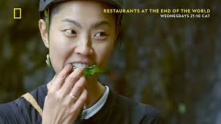 Restaurants At The End of the World Q & A