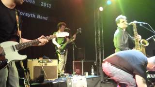 Guy Forsyth Band & Arne Demets - The Monkey Speaks His Mind