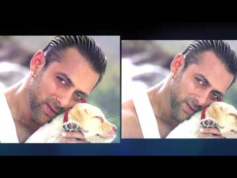 Bollywood Star Pets