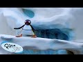 Climbing The Tallest Mountain Pingu Official Channel Cartoons For Kids