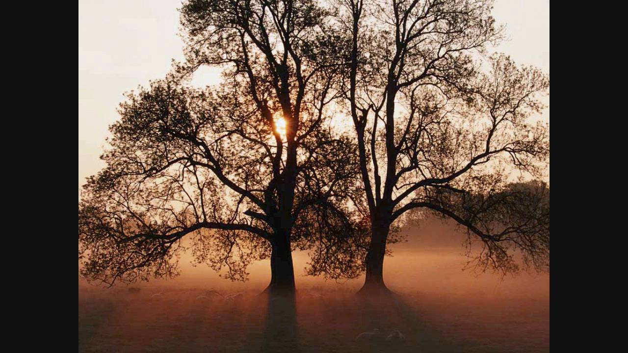 Yug Beet Gae Lyrics | Ho Jayegi Balle Balle (Daler Mehndi) | Daler Mehndi | Daler Mehndi