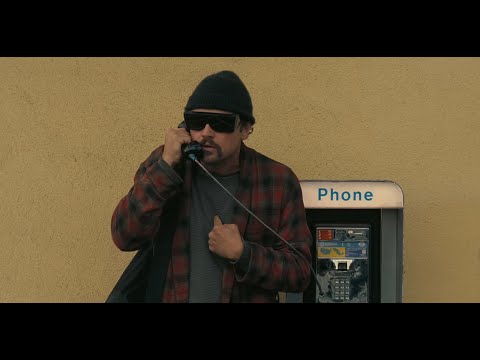 Recomendación de libros y películas destacados de 2025 | Pura Virtud