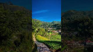 Download lagu Berita Kepada Kawan, Ebiet G. Ade #beritakepadakawan #shortvideo #shortsviral #suasanapedesaan mp3