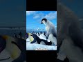 HAPPY FEET Was Almost RATED R Shorts