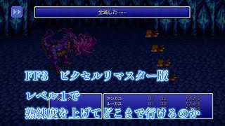 【ファイナルファンタジー３】レベル１　全員全職業熟練度９９でどこまでいけるか＃２【ピクセルリマスター版FF3】