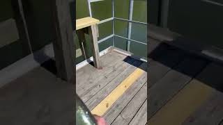 Skipjack in Anderson/Old hickory lake