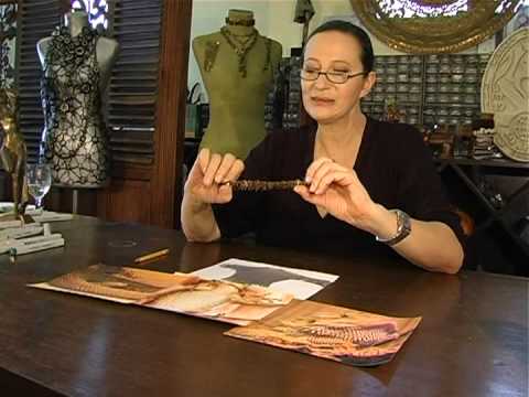 MIRANDA KONSTANTINIDOU Reptile Meteor - Autumn Winter 2008/2009 KONPLOTT Atelier Clips