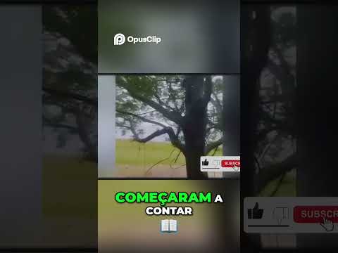 Inundações devastadoras deixam rastro de destruição #enchente #tempestade #clima