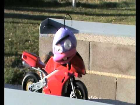 Trancas y Barrancas en La hormiga del africa tropical (Festival de pelis como quieras colacao)