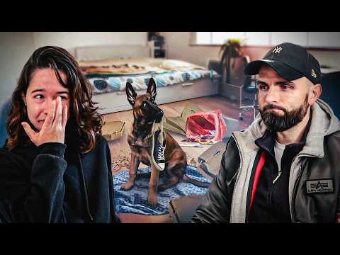 Destruction, vol, obéissance… Je suis dépassée par mon chiot malinois 😭 Un Café et C'est Réglé Ep17