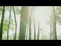 012 Ask Me - Chris Connor