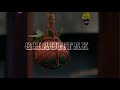 Chandi Ki Dal Par Sone Ka Mor Janmashtami Whatsapp Status