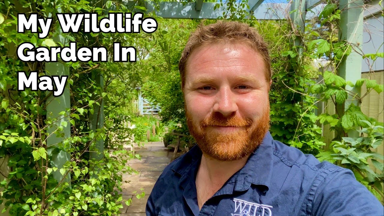 My English Garden Tour - Early May