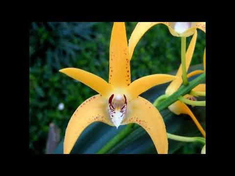 GRACIAS HUGO HEREDIA GRACIAS ALBERTO VÉLEZ POR EL APORTE A LA CULTURA.