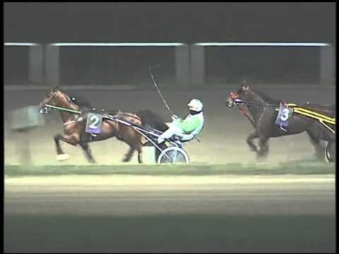 Trotto 04/12/2014 - 9° corsa