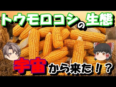 SGH09: 水生環境に対する危険性