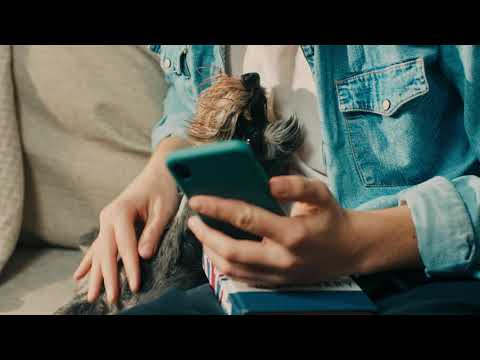 Pet Heaven App