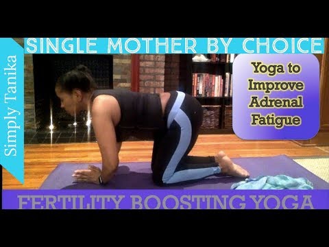 Yoga To Improve Adrenal Function And Increase Fertility Video